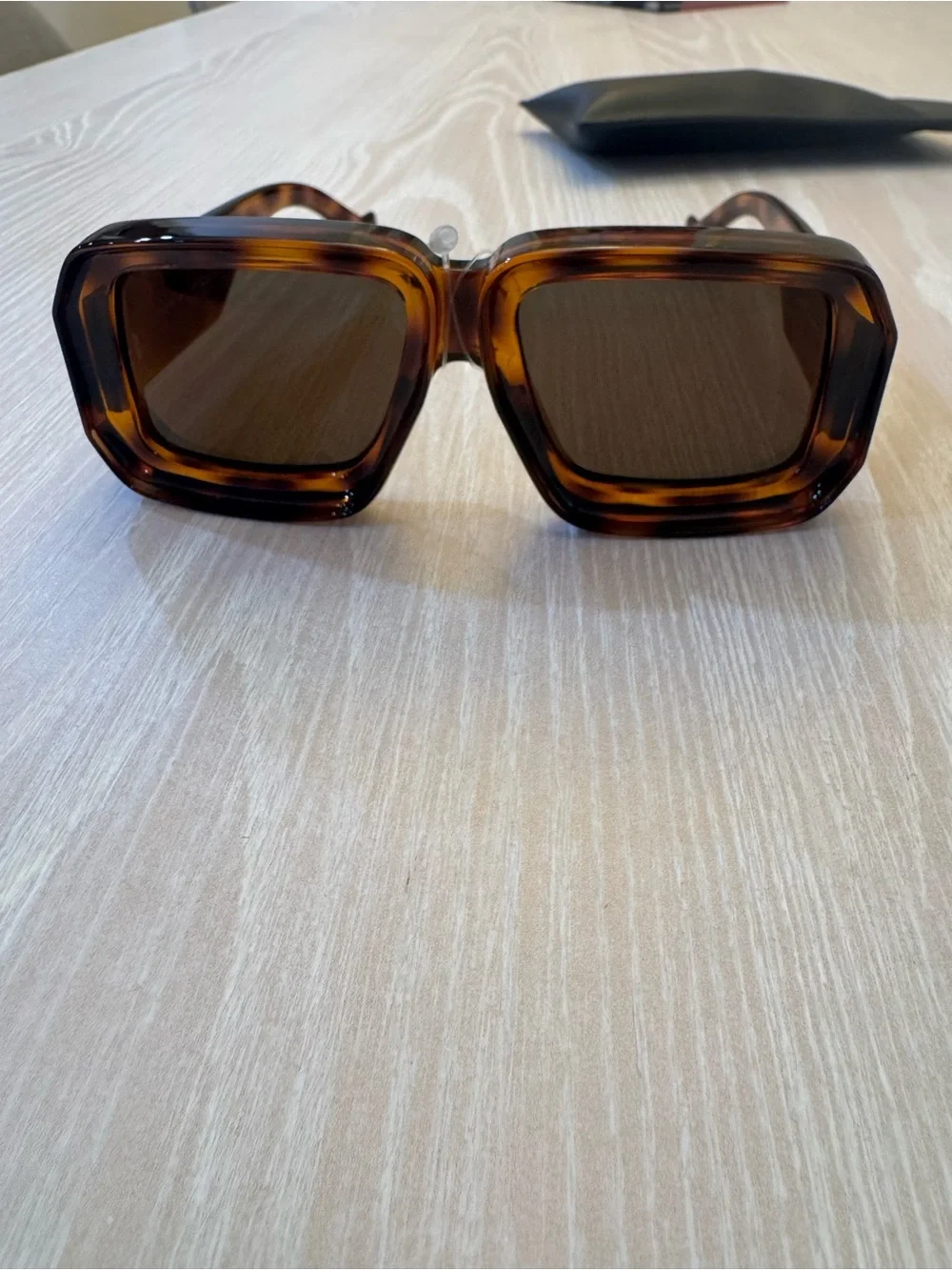 Loewe Paula Ibiza Dive In Mask Acetate NEW